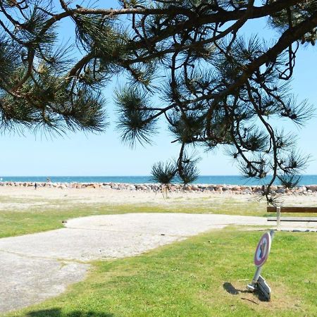 Appartement Cosy Avec Mezzanine, 6 Couchages, A 500M De La Mer - St Cyprien - Fr-1-225D-168 Saint-Cyprien  Eksteriør bilde